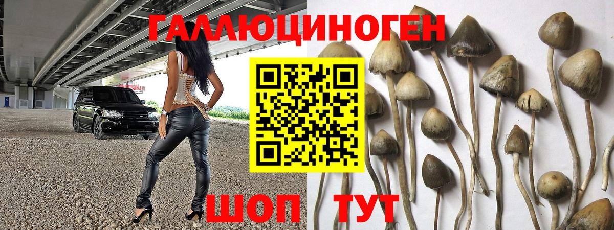 Галлюциногенные грибы ЛСД Уварово